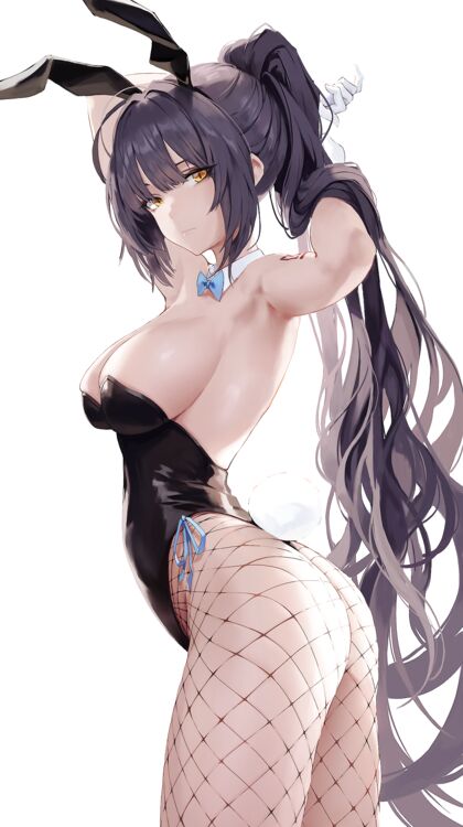 Hella Hot Harem Porn - Bunnie Karrrrtayyyy!