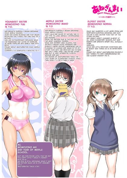 Horny Hentai Sisters Share Their Young 18+er Stepbrother in Scorching Harem Picture