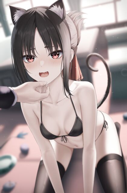 Hella Horny Hentaikitties - Pet Cat Girl Fucking in XXX Pics