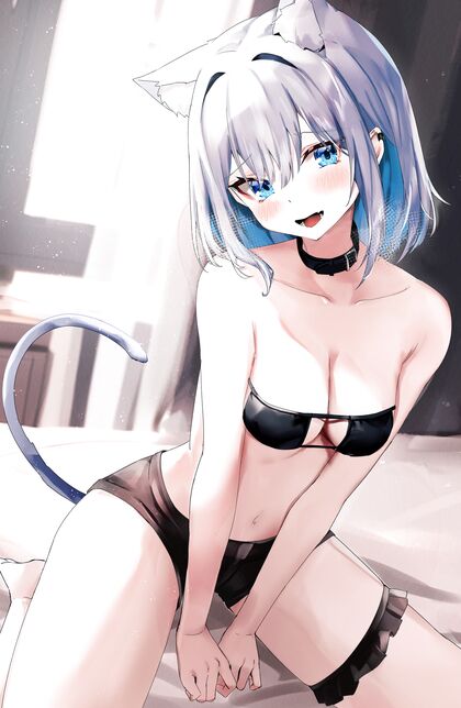 Purrfectly Cute Kitty Snuggles Up For Some Hot Feline Action!