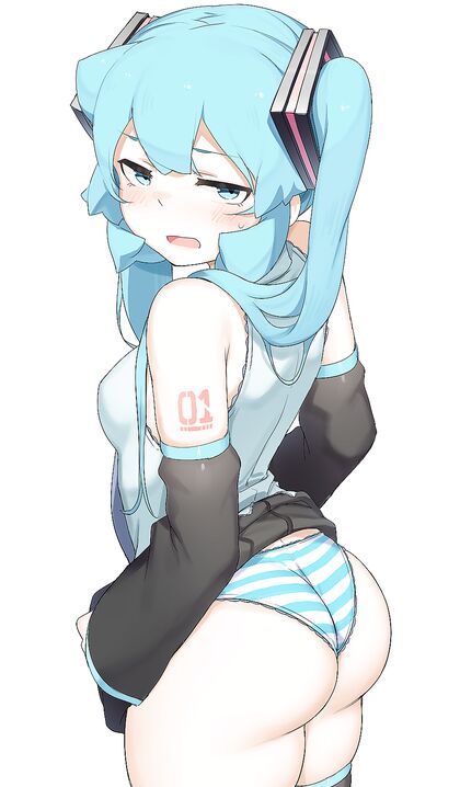 Holy shitlords! Miku got herself one hell of hentaiboner-inducing booty!