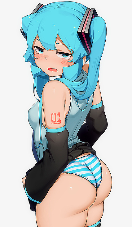 Holy shitlords! Miku got herself one hell of hentaiboner-inducing booty!