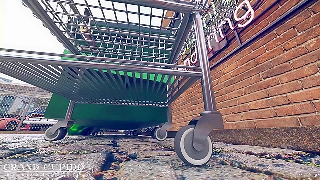 Ashe and Dva Adventures of Sucking and Fucking Big Cocks