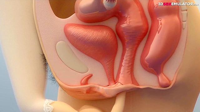 Horny Teen Masturbating With lollipop - xray porn