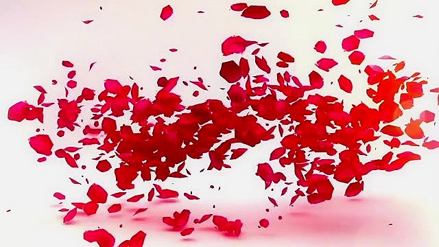 Essence - A beautiful futa girl rams her cock into a dark skinned busty babe