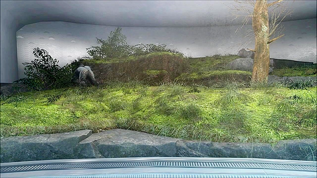 Fallout 4 Bioscience Fuck Lab