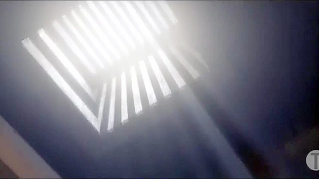 The babes of overwatch bounce their round booties on thick cocks - compilation