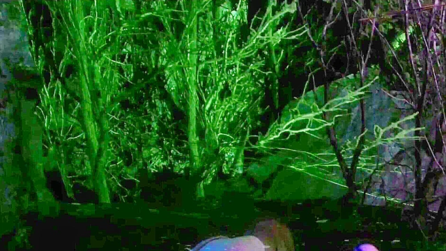 Star Wars: Before the Force 1 & 2 - Fantastic Rey enjoys 3d fucking all over the galaxy