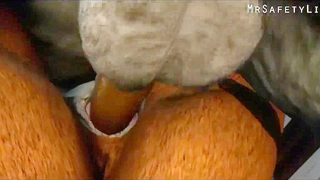 Tai Lung from Ku Fu Panda fucks master tigress