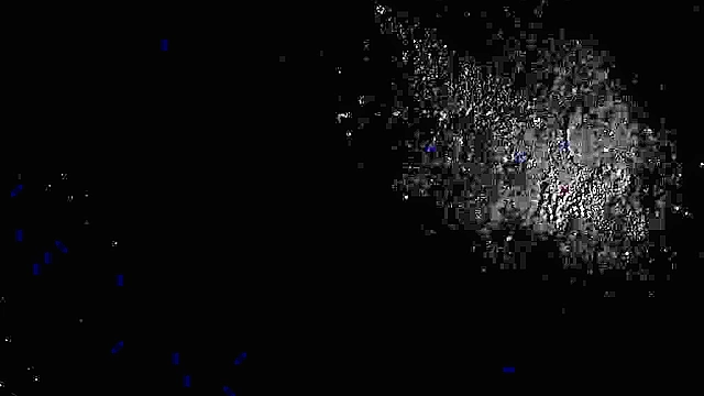 Ada Wong is made to suck a zombie cock to save friend's life