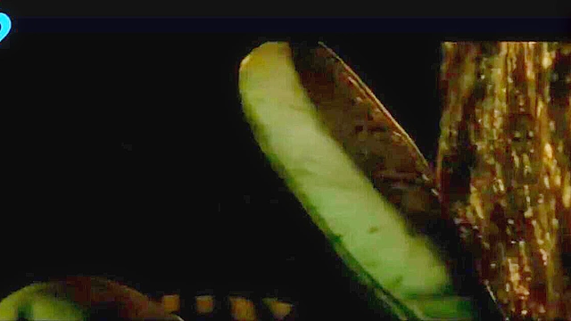 Hot babes of resident evil take various fucking from crazy monsters