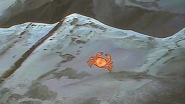 Pia Carrot 2 ep1 - Hero saves sexy redheaded anime girl and fucks her on the beach