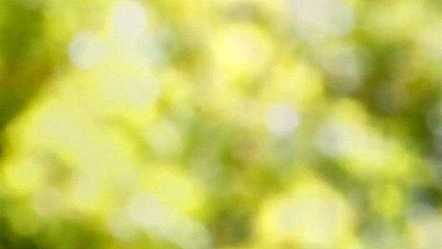 Summer with you by the pool (subtitles)