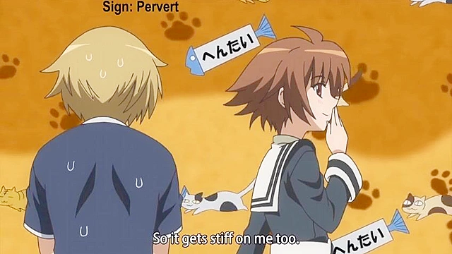 Swing Out Sisters in its entirety HD version