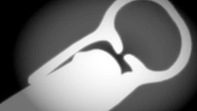 Krillin and Android 18 have doggy style fucking and handjob