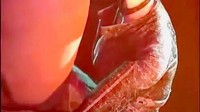 Catwoman and Harley Quinn give a tag team blowjob