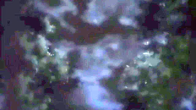 Cute teens enjoy some lesbian pussy licking and intense orgasms