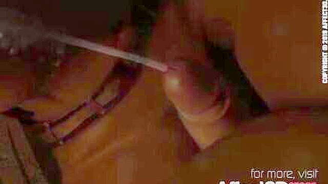 3D futanari pirates on a voyage fucking hot girls across the world