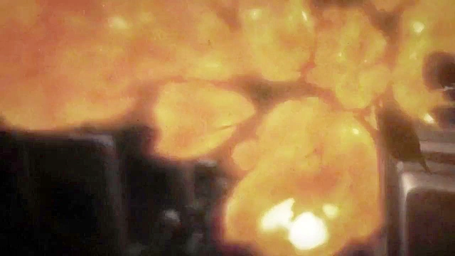 Mermaid monster babe tries to get master to fertilize her eggs