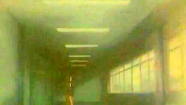 Office Affairs - Hot hentai sex with the secretary in the office bathroom