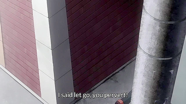 Estrus Switch - Pervert uses acupressure to turn anime girls into instant public sex sluts