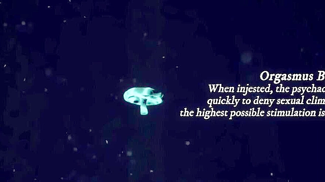 Hermione's Magical Night 2 - Hermione becomes a futa and is fucked by appartitions