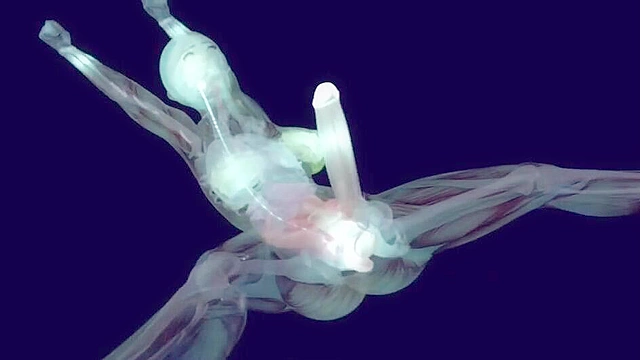 Hermione's Magical Night 2 - Hermione becomes a futa and is fucked by appartitions