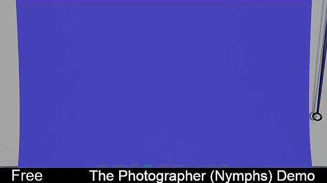 Horny Harem Girls Seduce The Photographer In Erotic Netorare Adventure