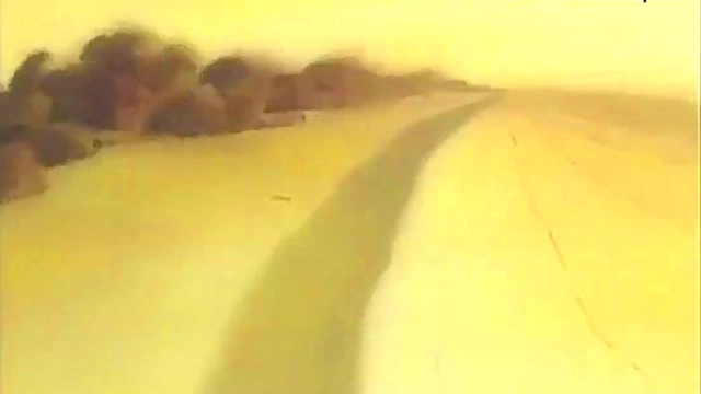 Bizarre Anime Kitty Gets Wild in Surreal Erotic Adventure