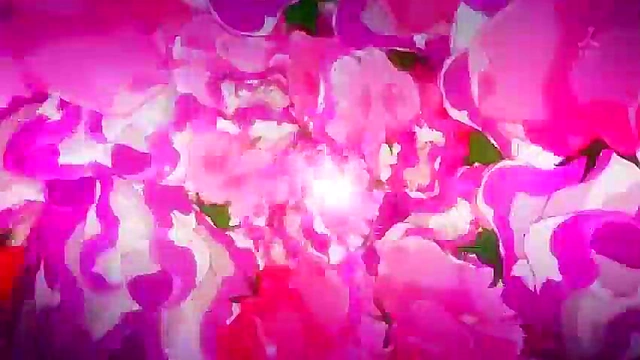 Romantic Anime Adventure – Photo Kano’s Sweet Hentai Moments