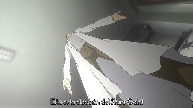 Steins –Gate Hentai Anime – Seinen Couple Action WithSpanish Subtitles