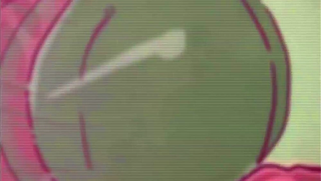 Kim Possible Gets Animated With Shego’s Futanari Dick In Hot Hentai Action