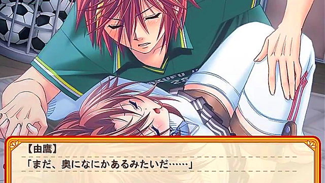 Horny Brothers Seduce Each Other in Koisuru Onii-sama Visual Novel