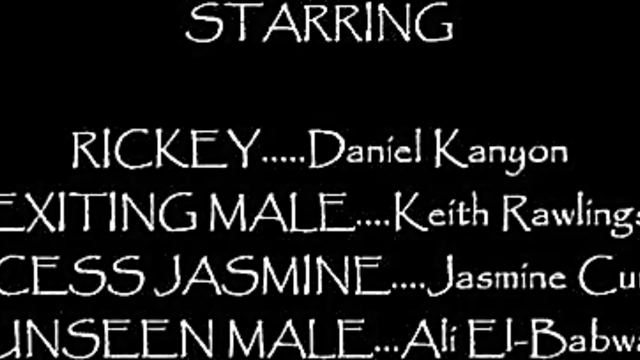 Persian Beauty Aladdin Cartoon Hardcore Blowjob & Pussy Fucking With Anal Sex Finale