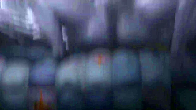 Winged Futa Guest Pounds Woman Hard for Anal Sex & Facial Cumshot