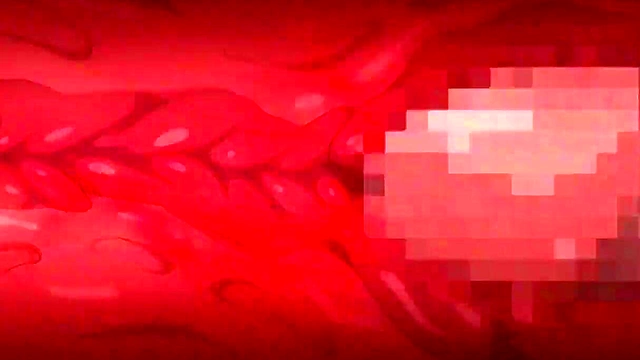 Horny Schoolgirls Seduce Teachers for Naughty Fun in Meikoku Gakuen Jutai Hen