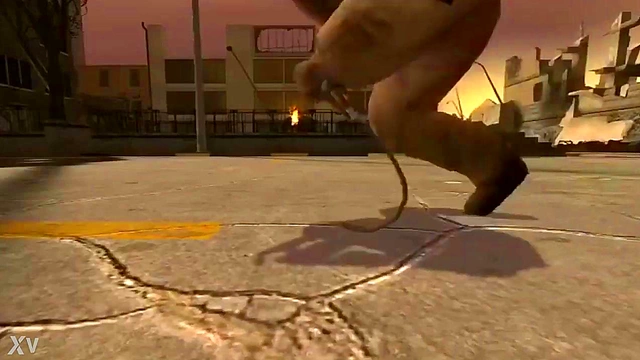 Half-Life Bros Pound Roblox Hottie in Hot Anime Anal Action