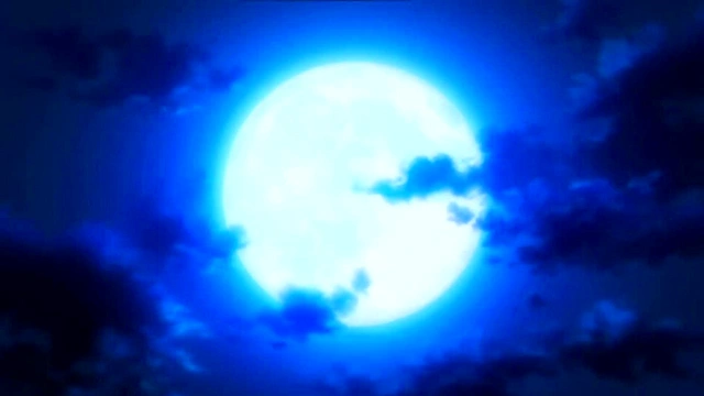 Crazy Night Bloom – Himawari’s Hentai Adventure Begins