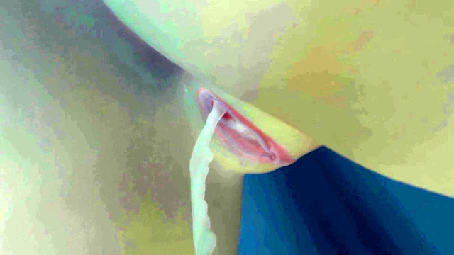 Hot Hentai Babe Tries Multiple Dicks for Explosive Orgasms & Creampie Fillers