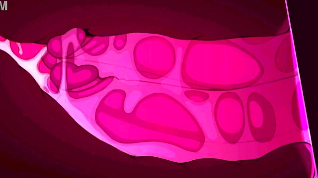 Horny Anime Bitch Gets Fucked While HMV Music Plays Loud