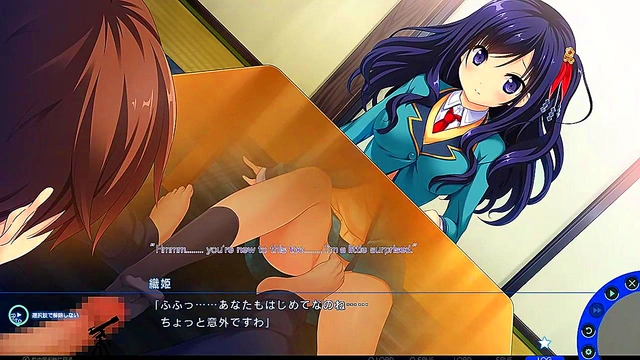 Hentai Anime – Miagete Goran - Yozora no Hoshi o for Eroge Fans