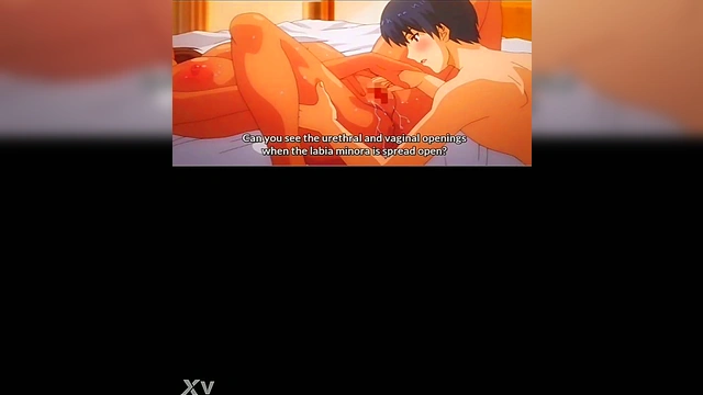 Lewd Hentai Haven Preview – Ecchi Action & Seductive Scenes Revealed