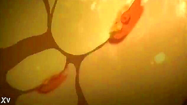 Hentai Shower Fantasy – Anime Couple Gets Steamy Under The Water Jets