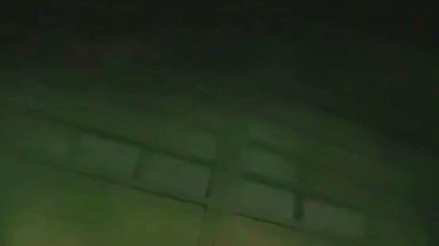 Hentai Anime Toon Couple Engage in Hot Sex with Juicy Creampie Finish