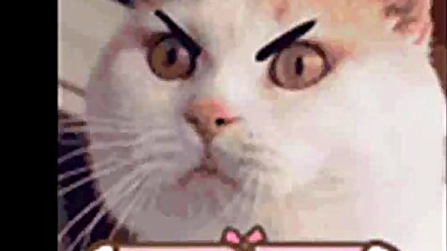 Sexy Anime Girls Gallery Slideshow – Ecchi Fan Service Heaven