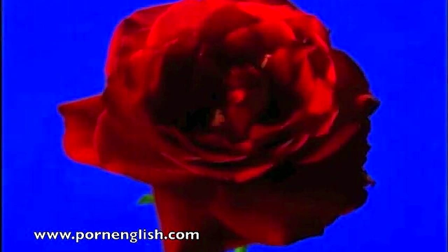 Hairy Anime Doll Gets Fucked Close-Up With Dick And Sextoy Action