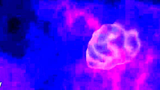 Cute Anime Girl Seduces With Naughty Acts In TOLOVERU Hentai Scene