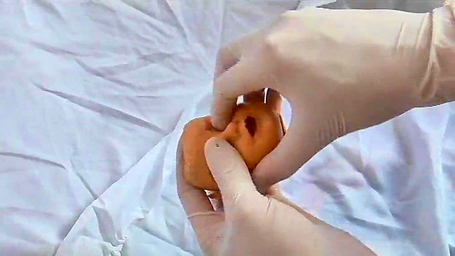 Tiny Anime Doll Fucks Dildo Solo For Sexy Spit Tit Action Fantasy Fun