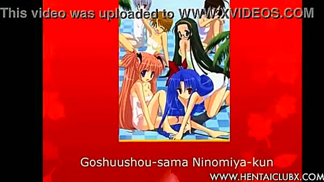 Top 20 Sexy Harem Ecchi Anime With Nudity & Fan Service Fun