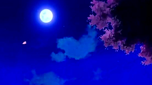 Hot Anime Babe With Big Boobs Satisfies Her Horny Cravings In Japanese Perversion